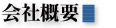 h2_companyprofile